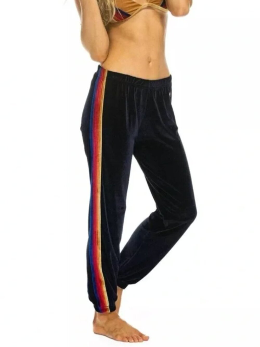 Aviator Nation Classic Velvet Sweatpant/Jogger